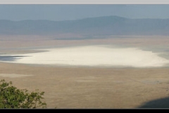 Ngorongoro