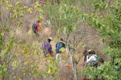 72009 Climbing Longido
