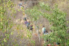 72010 Climbing Longido