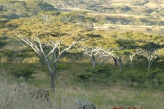 81512 View from Esirwa Camp