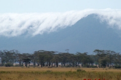 81613 Ngorongoro Crater