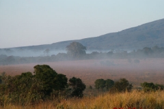 81704 Misty Dawn at Simba Camp