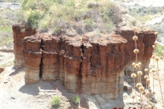 81718 Oldupai Gorge