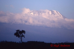Kibo from Meru 19960211