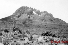 Mawenzi 19630803