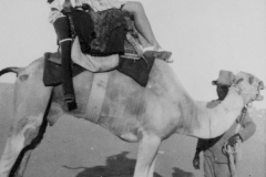1 Peggy on a Camel