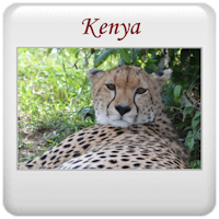 Safari 2013 - Kenya