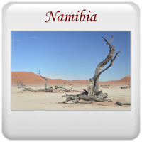 Safari 2013 - Namibia