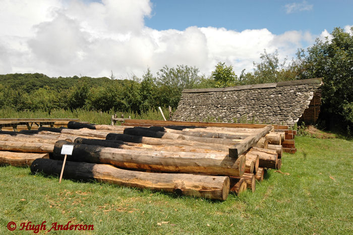 Posts for the Viking Longhouse