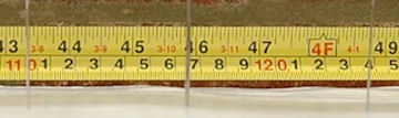 Measuring Tape and Needles