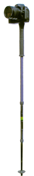Walking Pole Used as a Monopod
