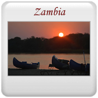 Safari 2013 - Zambia