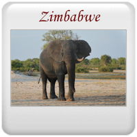 Safari 2013 - Zimbabwe