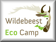 Wildebeest Camp is an oasis in Nairobi