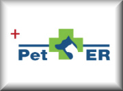 Pets and Mental Health for Different Age Groups